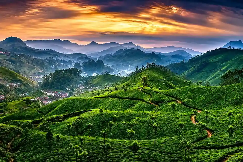 Munnar