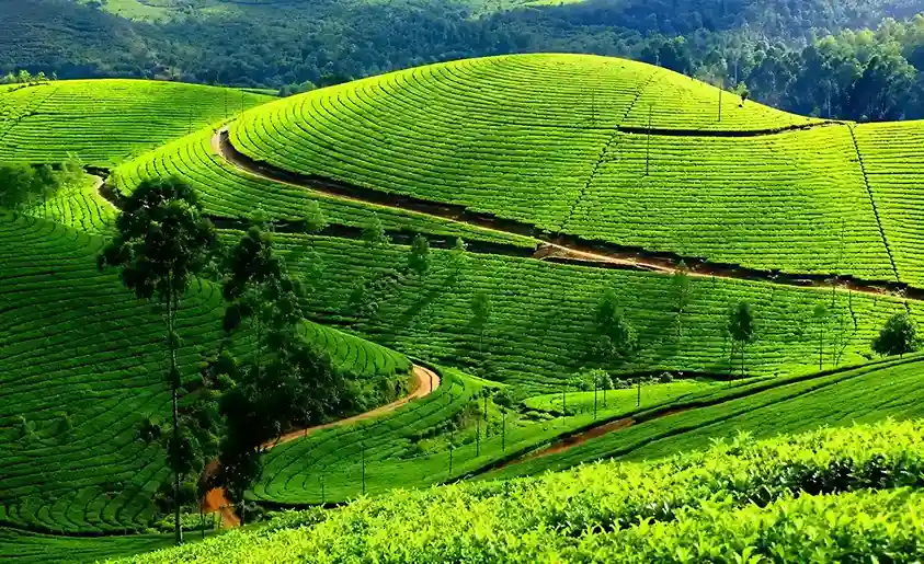 Ooty
